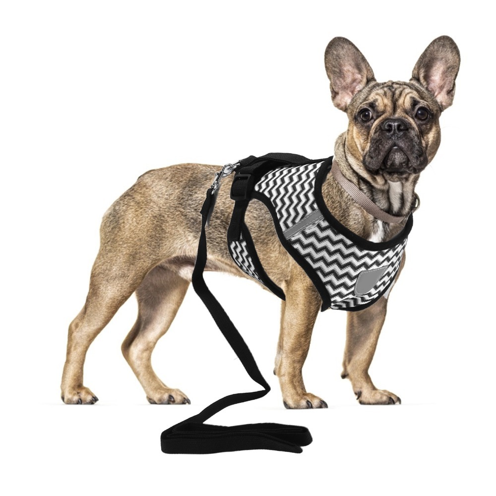 Conjunto de Arnés para Mascota - Fabric Weight Set reseña y precio